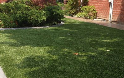 WHY HOMEOWNERS ARE SWITCHING TO ARTIFICIAL LAWNS