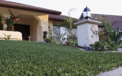 ARTIFICIAL GRASS GIVES HOMES BETTER CURB APPEAL