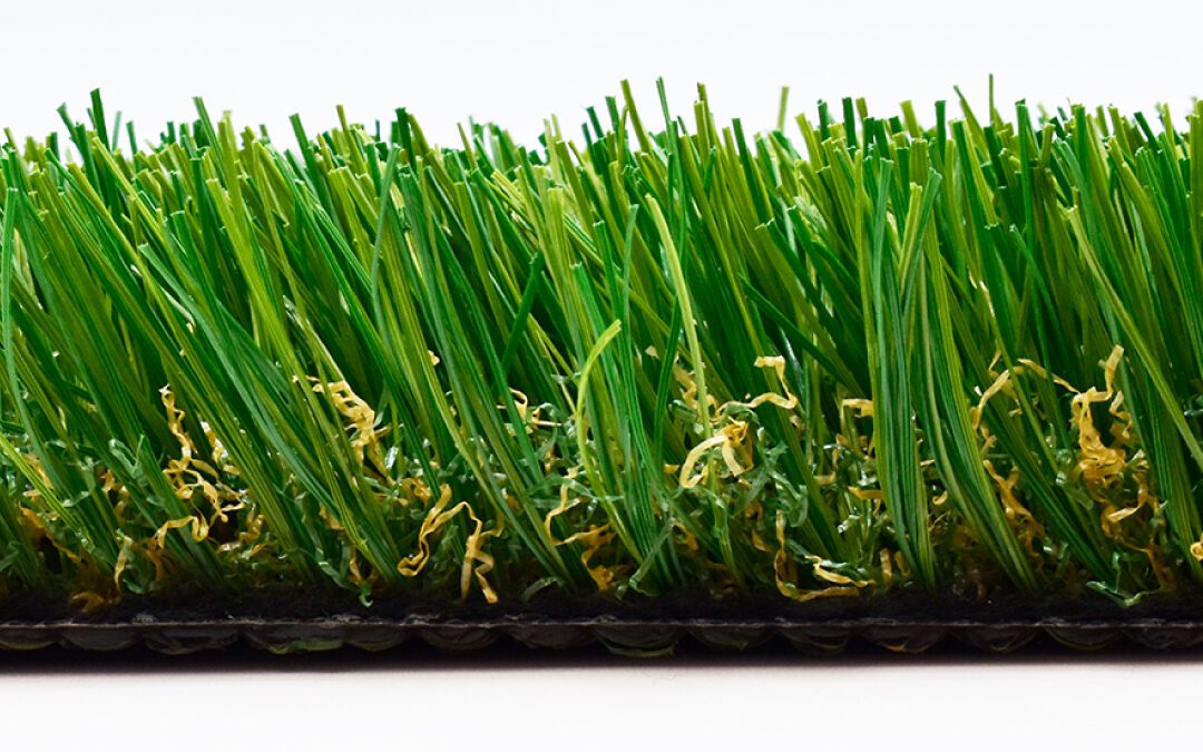 Spring Fescue