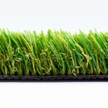 Natural-Fescue-Closeup