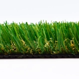 Spring-Fescue-Closeup