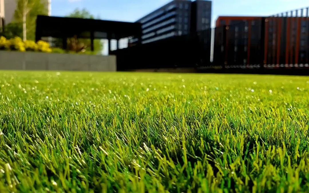 Artificial Grass in Backyard