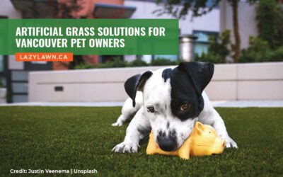Artificial Grass Solutions for Vancouver Pet Owners