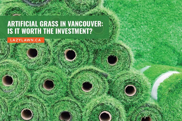 Artificial Grass in Vancouver: Is it Worth the Investment?