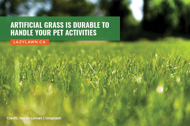 Artificial grass is durable to handle your pet activities
