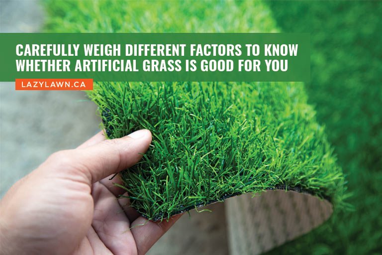 Carefully weigh different factors to know whether artificial grass is good for you