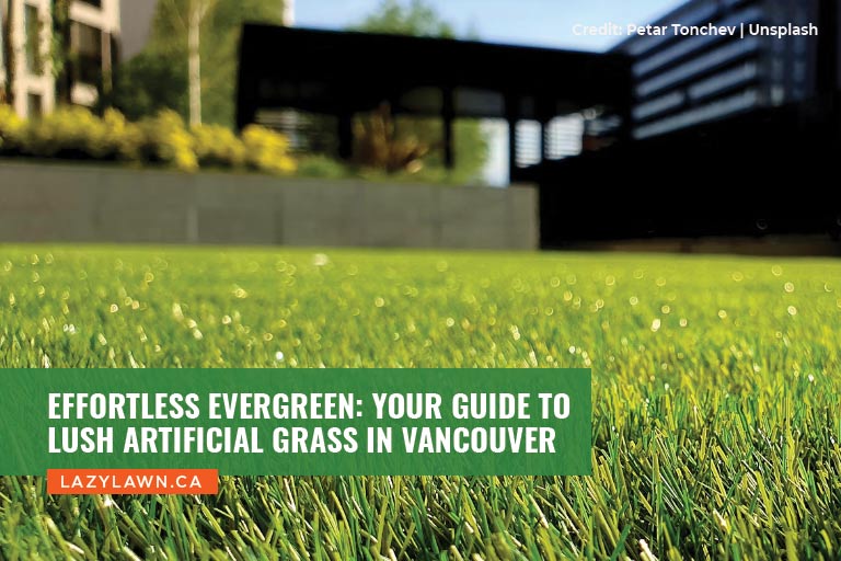 Effortless Evergreen: Your Guide to Lush Artificial Grass in Vancouver