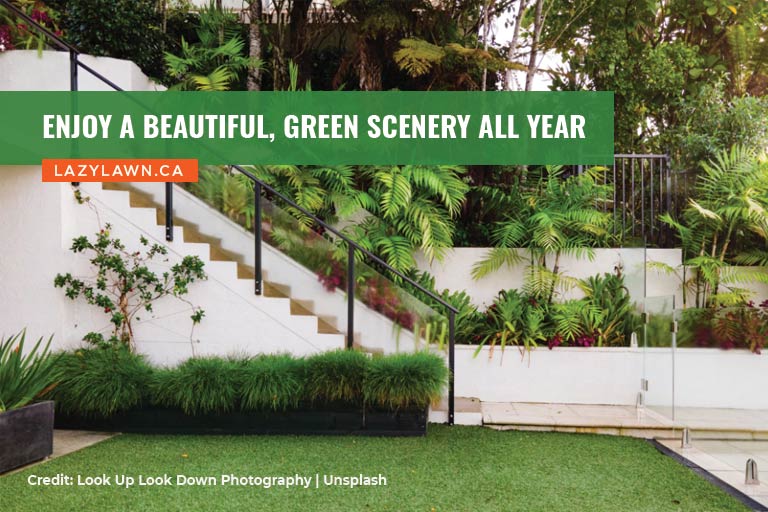 Enjoy a beautiful, green scenery all year