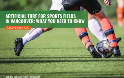 Artificial Turf for Sports Fields in Vancouver: What You Need to Know