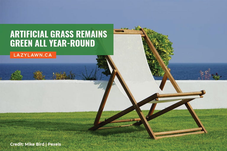Artificial grass remains green all year-round