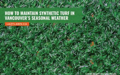 How to Maintain Synthetic Turf in Vancouver’s Seasonal Weather