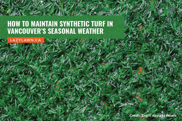 How to Maintain Synthetic Turf in Vancouver’s Seasonal Weather
