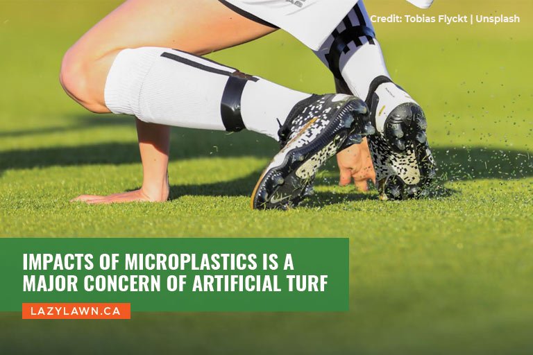 Impacts of microplastics is a major concern of artificial turf