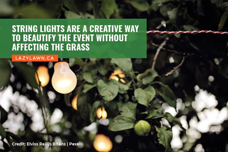 String lights are a creative way to beautify the event without affecting the grass