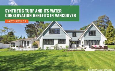 Synthetic Turf and Its Water Conservation Benefits in Vancouver