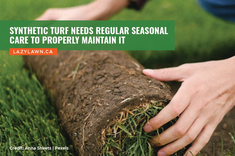 Synthetic turf needs regular seasonal care to properly maintain it