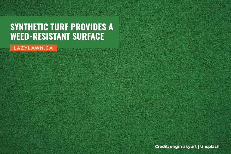 Synthetic turf provides a weed-resistant surface