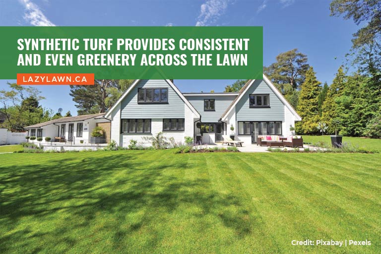 Synthetic turf provides consistent and even greenery across the lawn