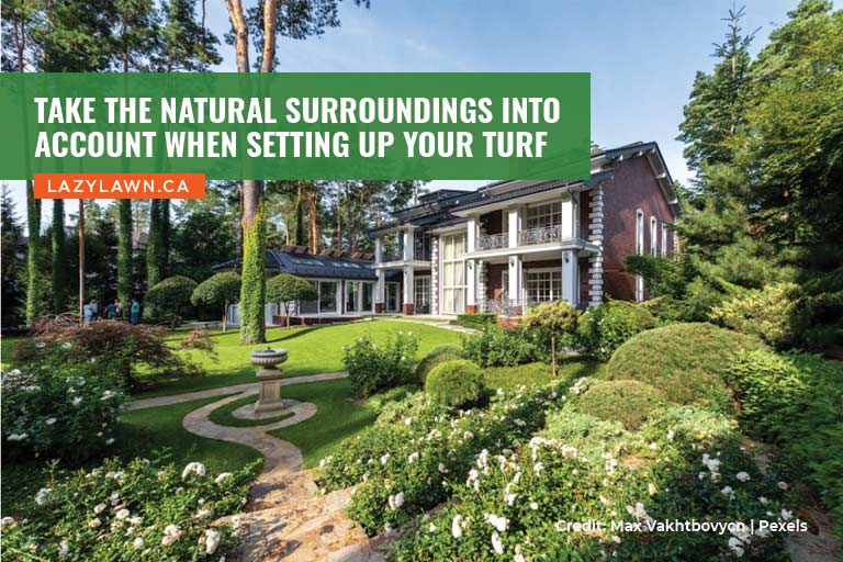 Take the natural surroundings into account when setting up your turf