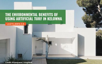 The Environmental Benefits of Using Artificial Turf in Kelowna