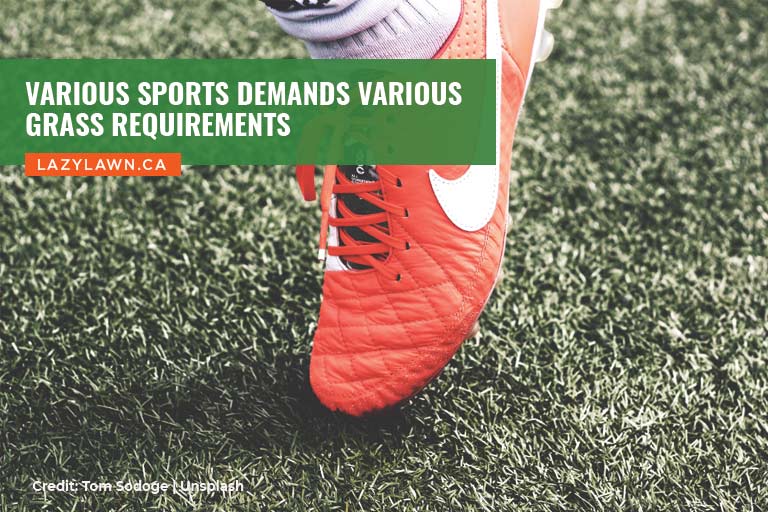 Various sports demands various grass requirements