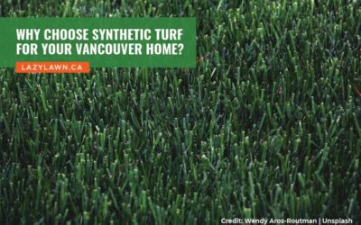 Why Choose Synthetic Turf for Your Vancouver Home?