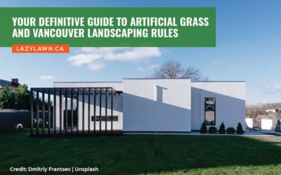 Your Definitive Guide to Artificial Grass and Vancouver Landscaping Rules