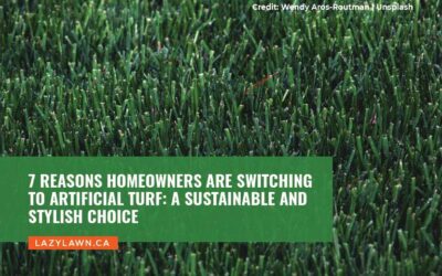 7 Reasons Homeowners Are Switching to Artificial Turf: A Sustainable and Stylish Choice