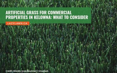 Artificial Grass for Commercial Properties in Kelowna: What to Consider