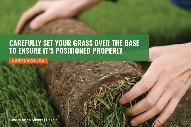 Carefully set your grass over the base to ensure it’s positioned properly