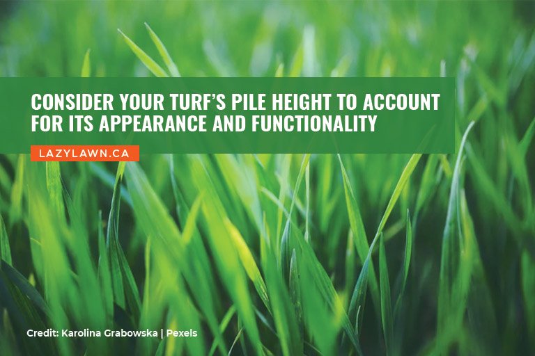 Consider your turf’s pile height to account for its appearance and functionality