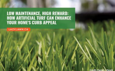 Low Maintenance, High Reward: How Artificial Turf Can Enhance Your Home’s Curb Appeal