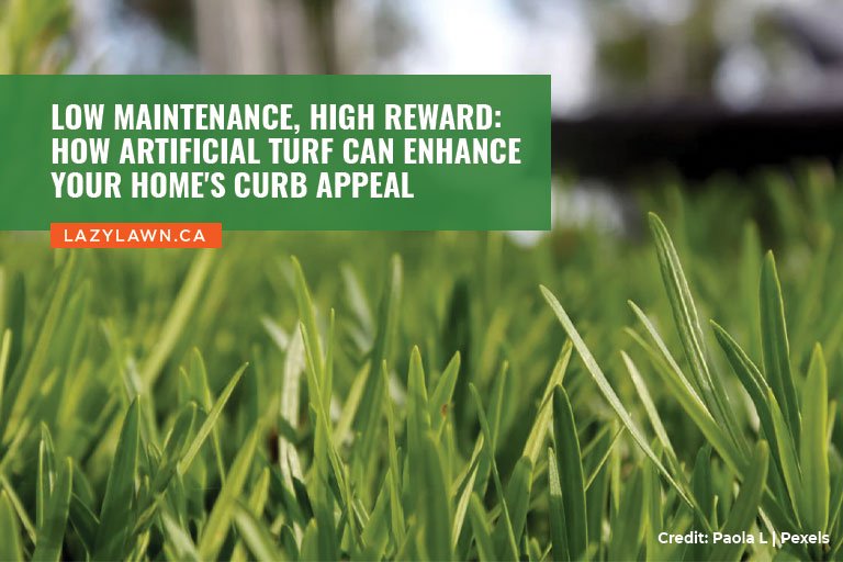Low Maintenance, High Reward: How Artificial Turf Can Enhance Your Home's Curb Appeal