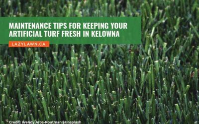 Maintenance Tips for Keeping Your Artificial Turf Fresh in Kelowna
