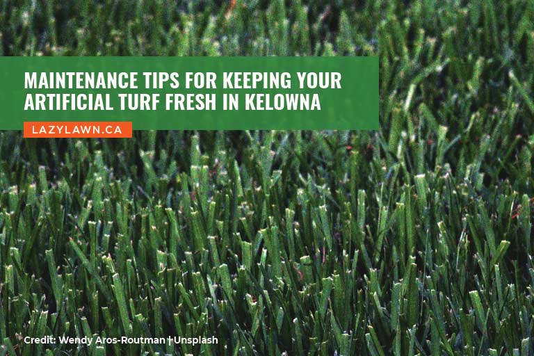 Maintenance Tips for Keeping Your Artificial Turf Fresh in Kelowna