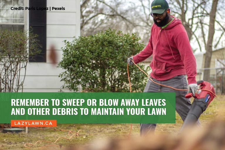 Remember to sweep or blow away leaves and other debris to maintain your lawn