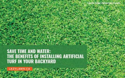 Save Time and Water: The Benefits of Installing Artificial Turf in Your Backyard