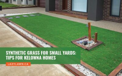 Synthetic Grass for Small Yards: Tips for Kelowna Homes