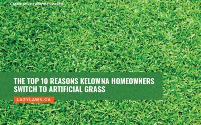 The Top 10 Reasons Kelowna Homeowners Switch to Artificial Grass