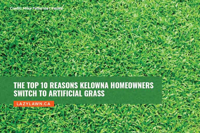 The Top 10 Reasons Kelowna Homeowners Switch to Artificial Grass