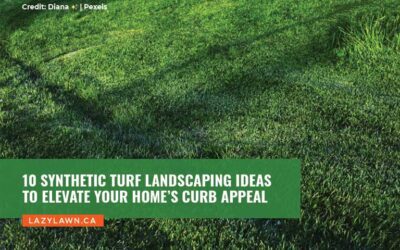 10 Synthetic Turf Landscaping Ideas to Elevate Your Home’s Curb Appeal