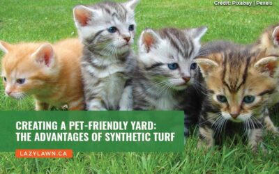 Creating a Pet-Friendly Yard: The Advantages of Synthetic Turf