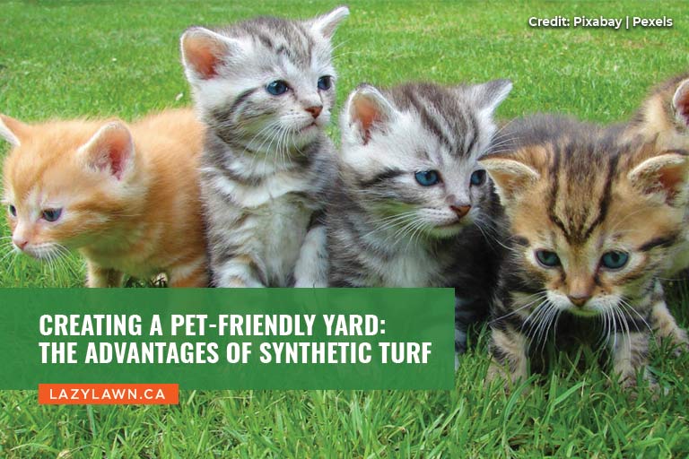 Creating a Pet-Friendly Yard: The Advantages of Synthetic Turf