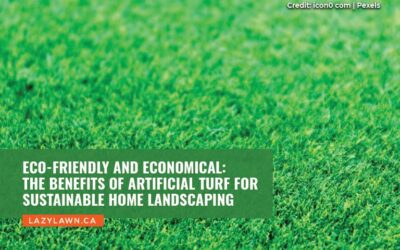 Eco-Friendly and Economical: The Benefits of Artificial Turf for Sustainable Home Landscaping