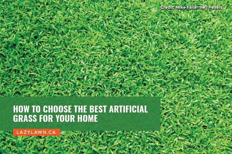 How to Choose the Best Artificial Grass for Your Home
