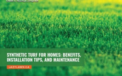 Synthetic Turf for Homes: Benefits, Installation Tips, and Maintenance