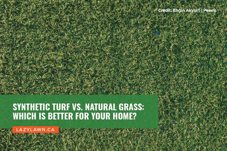 Synthetic Turf vs. Natural Grass