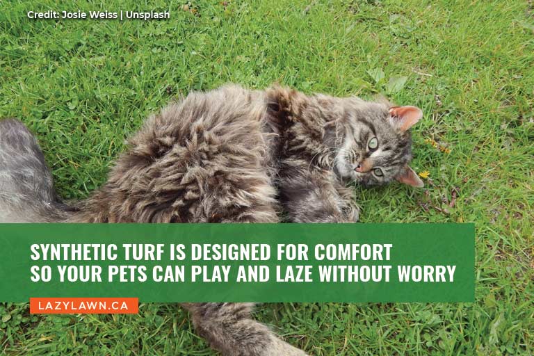 Synthetic turf is designed for comfort so your pets can play and laze without worry