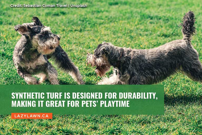 Synthetic turf is designed for durability, making it great for pets’ playtime