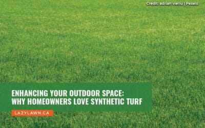 Enhancing Your Outdoor Space: Why Homeowners Love Synthetic Turf